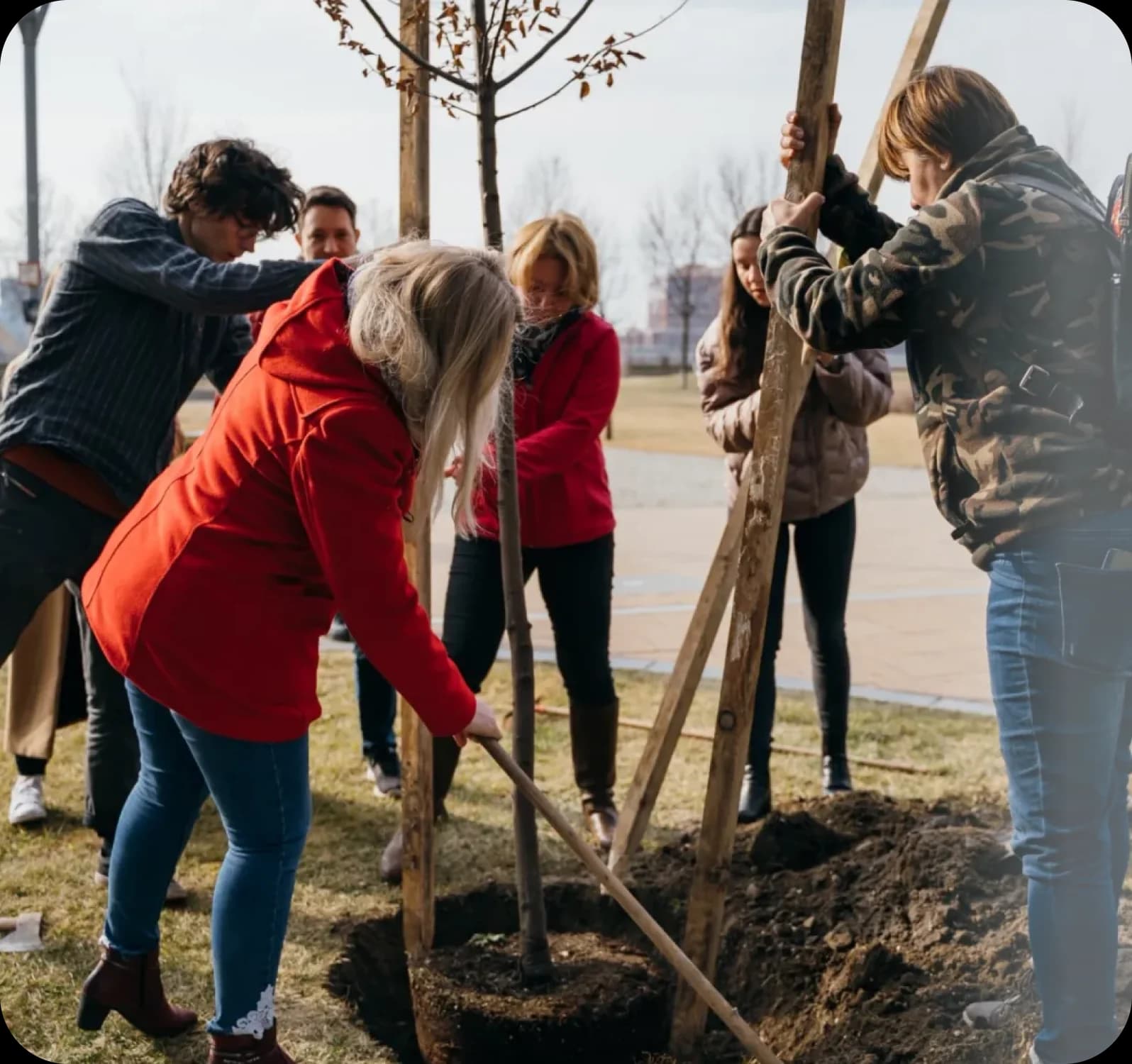 Emberek csoportja közösen fát ültet egy parkban.